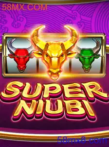 SuperNiubi
